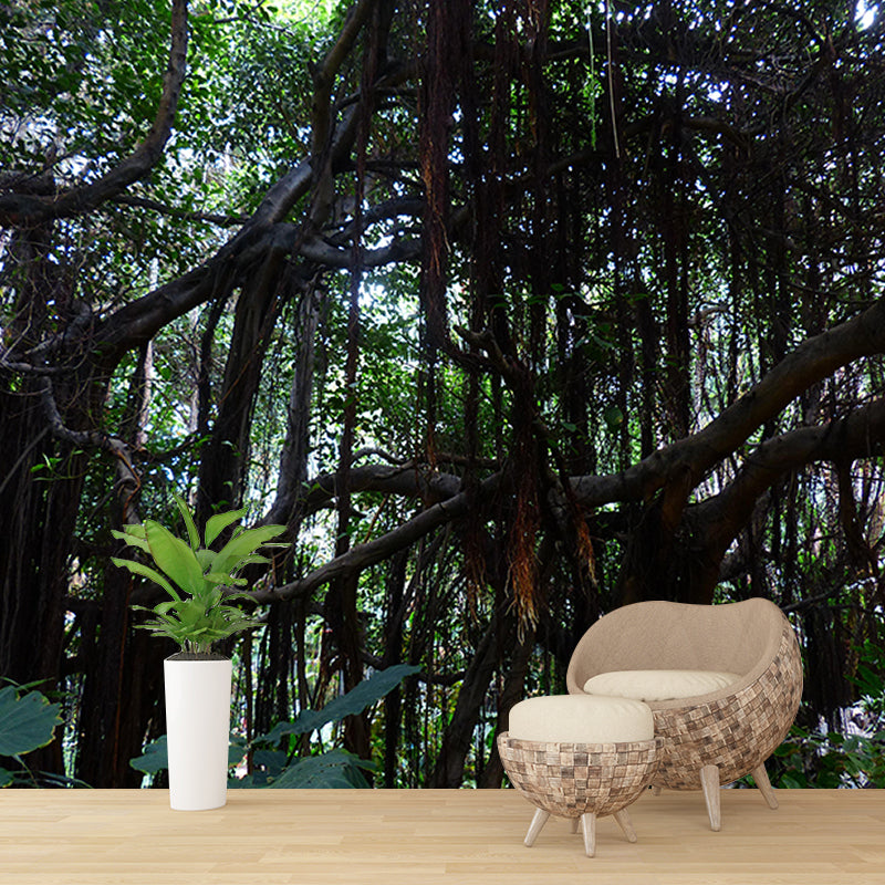 Popular Wall Mural Tropical Forest Print Living Room Wall Mural