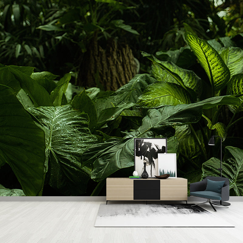 Popular Wall Mural Tropical Forest Print Living Room Wall Mural