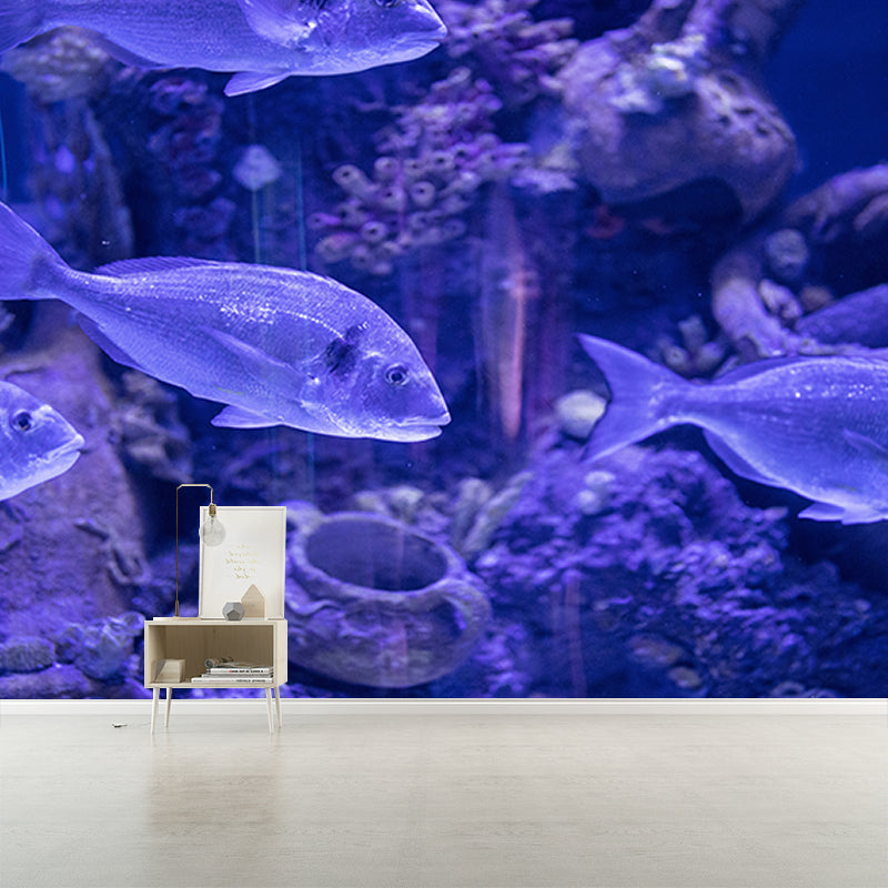 Photography Wall Mural Tropical Fish Printed Sitting Room Wall Mural