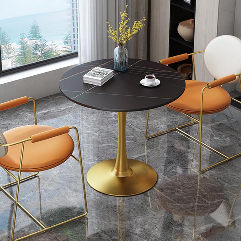 Leather Upholstered Arm Chair King Louis Back Chair for Dining Room