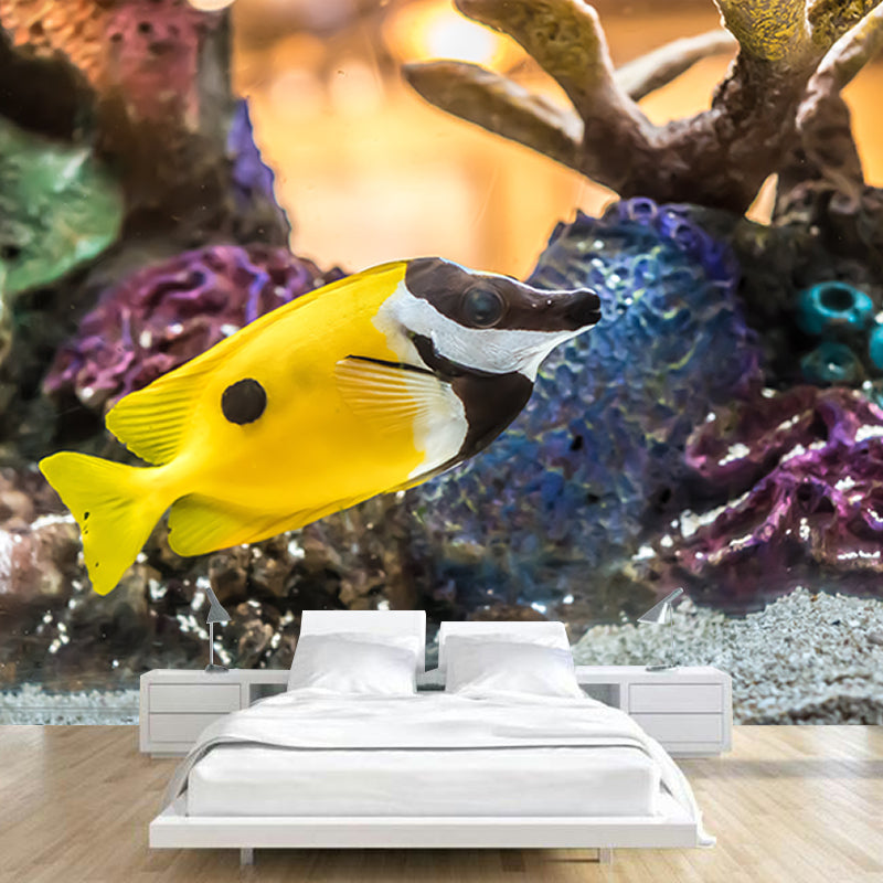 Photography Wall Mural Tropical Fish Printed Drawing Room Wall Mural