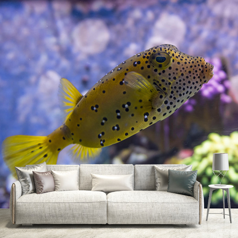 Photography Wall Mural Tropical Fish Printed Drawing Room Wall Mural