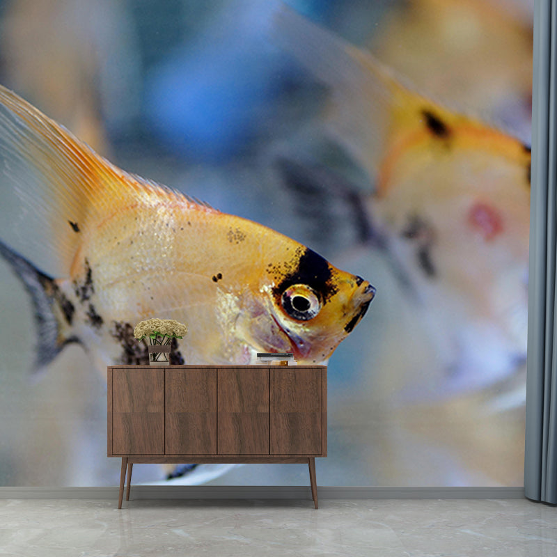 Photography Wall Mural Tropical Fish Printed Drawing Room Wall Mural