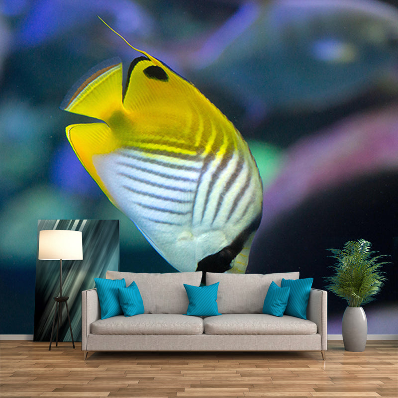 Photography Wall Mural Fish Patterned Drawing Room Wall Mural