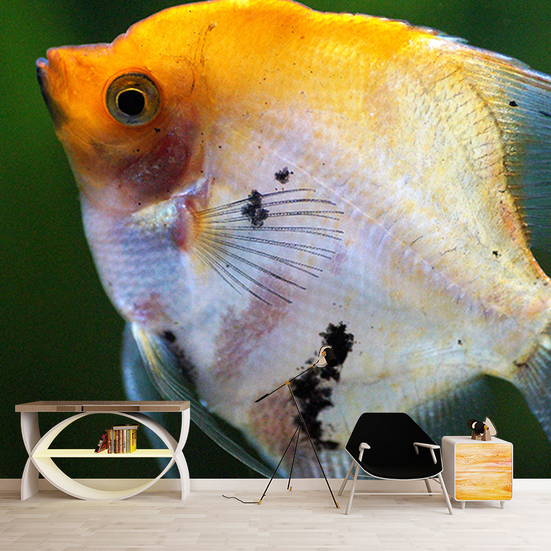 Photography Wall Mural Fish Patterned Drawing Room Wall Mural