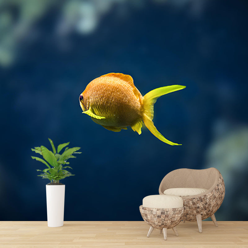 Photography Wall Mural Fish Patterned Drawing Room Wall Mural