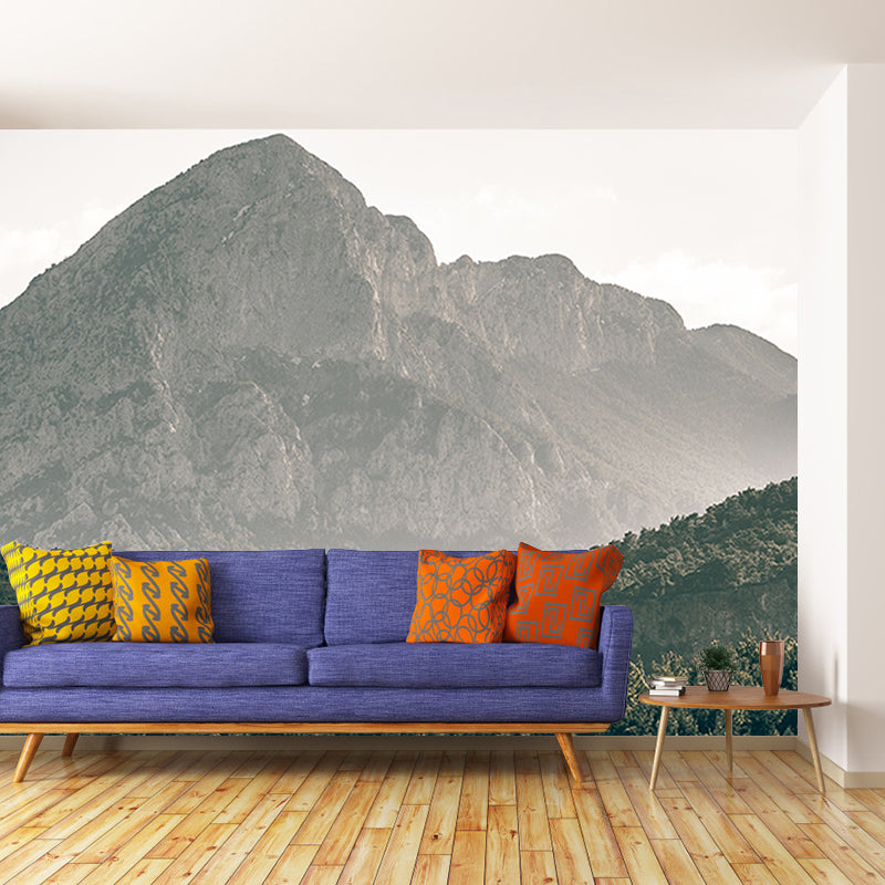 Wall Mural Photography Mountain Mildew Resistant Sitting Room Wallpaper