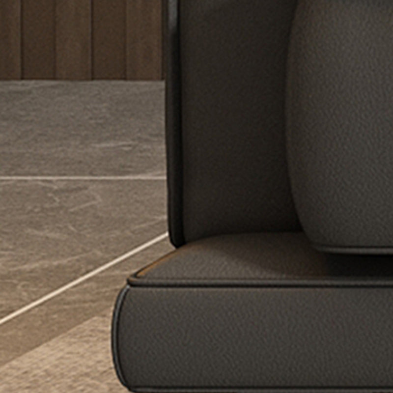 Genuine Leather Stationary Stain Resistant Living Room Gray Sofa