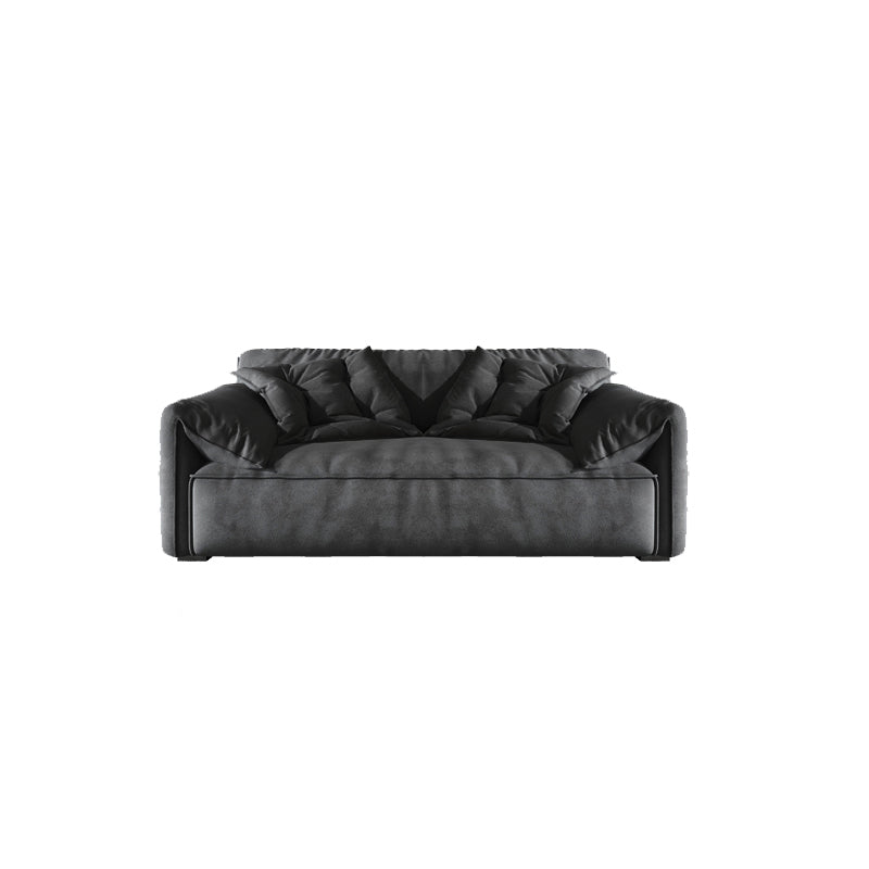 Stain Resistant Stationary 2-seater Pillow Top Arm Cushions Sofa