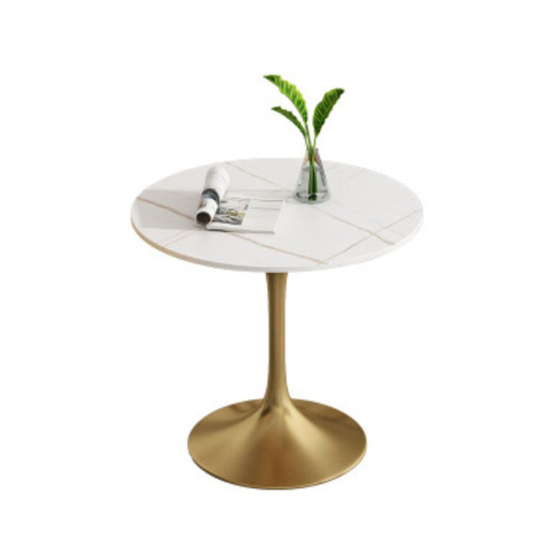 Metal Traditional Luxury Round Dining Table Sintered Stone Table with Tulip Base