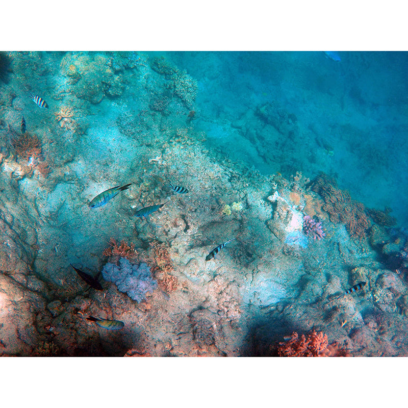 Ocean Photography Wallpaper Environmental Bathroom Floor Murals Wall Mural