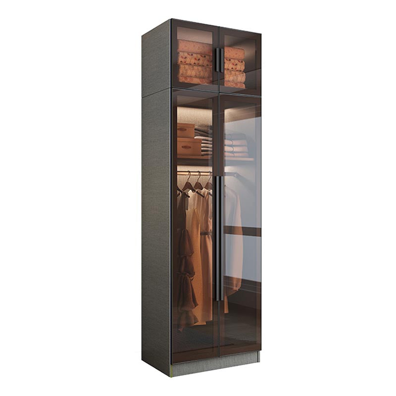 Modern Grey Wardrobe for Home Mirrored Finish Cabinet with Glass Door