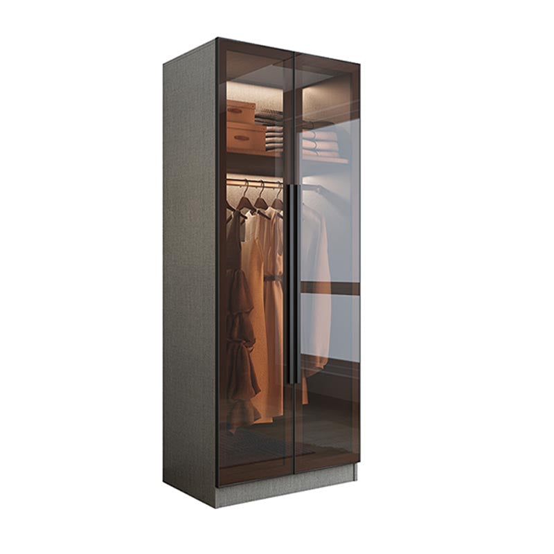 Modern Grey Wardrobe for Home Mirrored Finish Cabinet with Glass Door