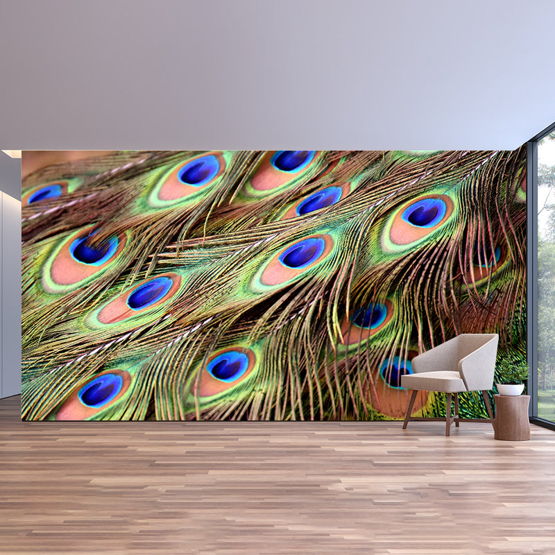 Chromatic Wall Mural Peacock Feather Print Living Room Wall Mural