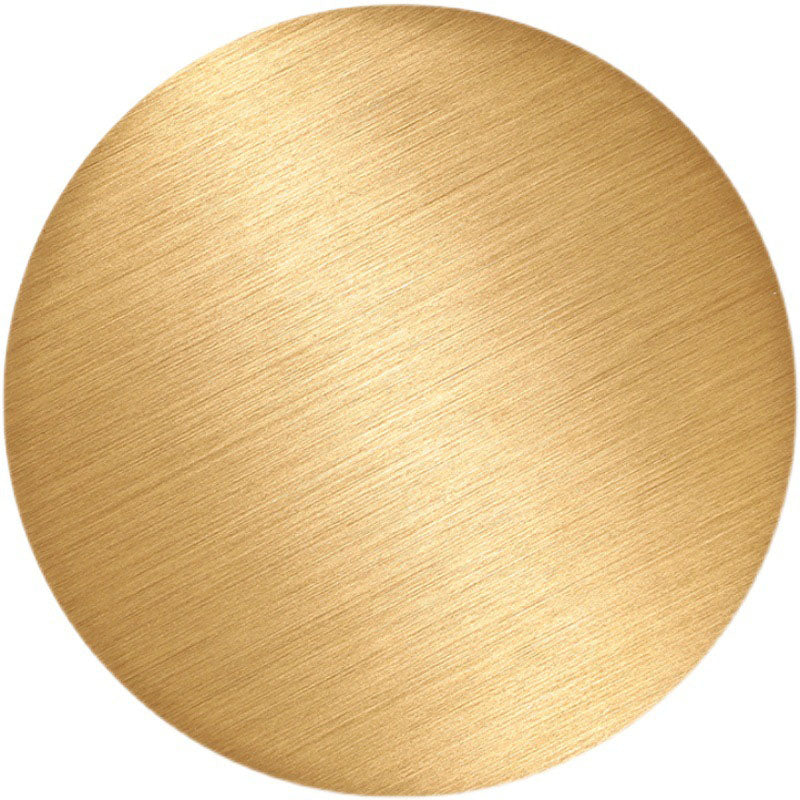 Modern Minimalist LED Wall Light Metal Circular Wall Lamp for Living Room