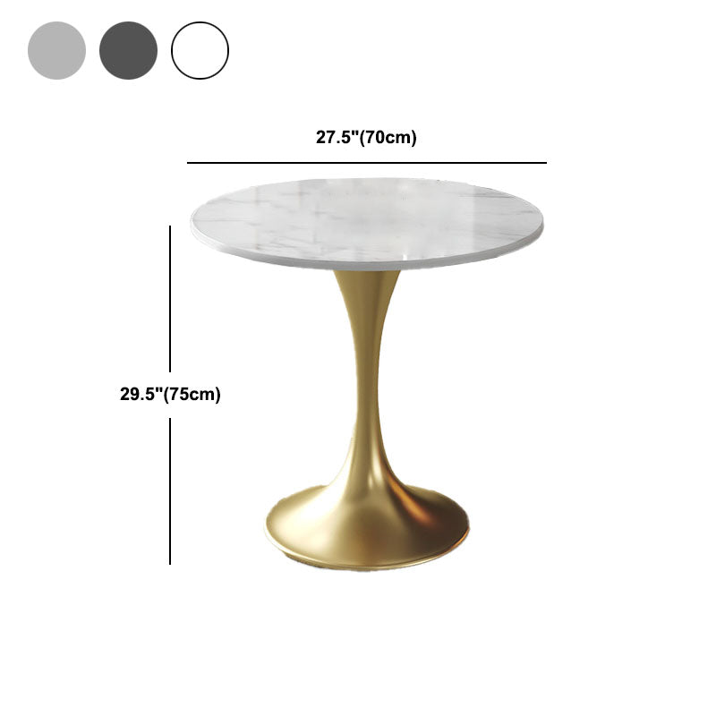 Metal Traditional Luxury Round Table for Home Sintered Stone Table with Tulip