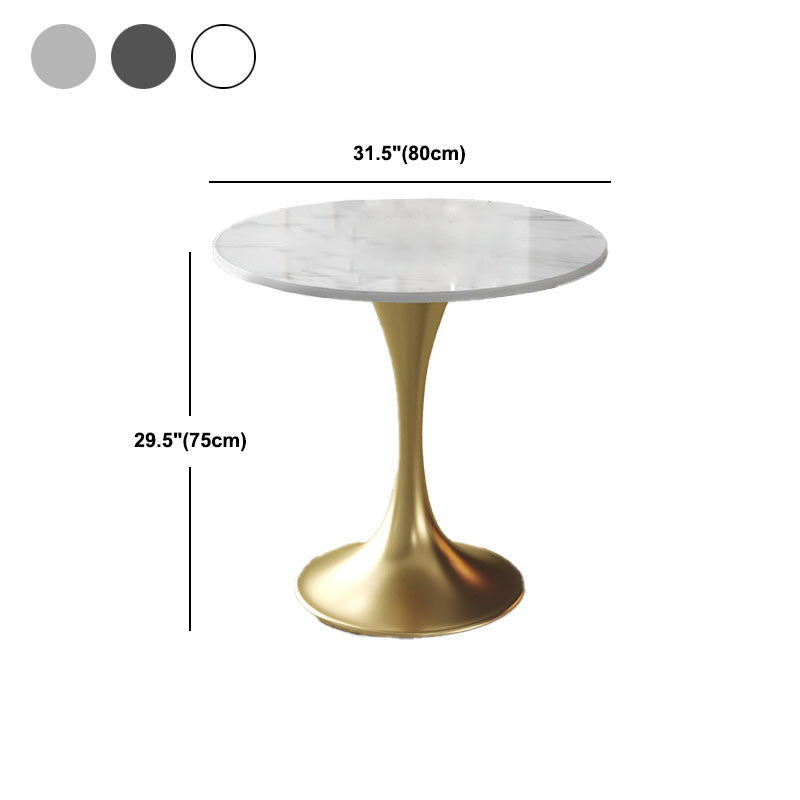 Metal Traditional Luxury Round Table for Home Sintered Stone Table with Tulip