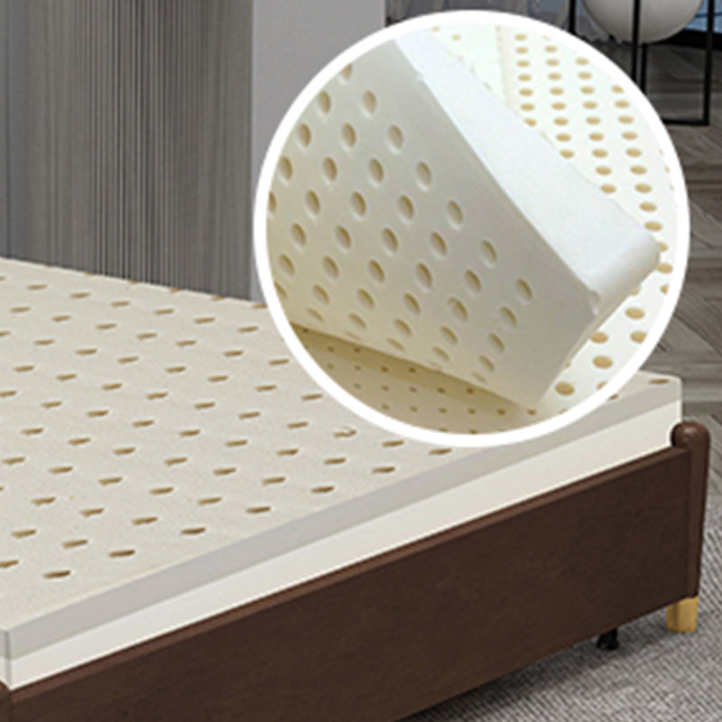 Contemporary Convertible Armless Cotton Blend Bed Sofa Couch
