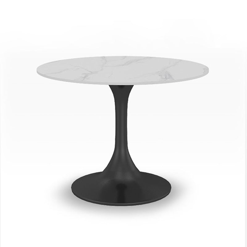 Modern Round Sintered Stone Dining Set 1/2/3/4/5 Pieces Dining Set for Dining Areas