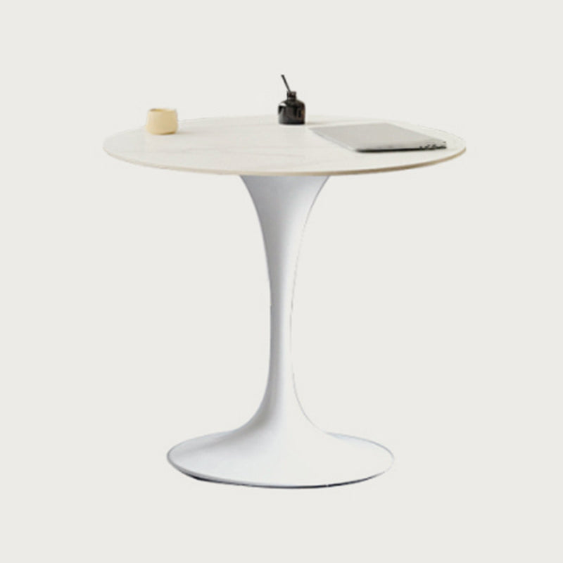 Modern Style Round Dining Table Tulip Home Table with Metal Base