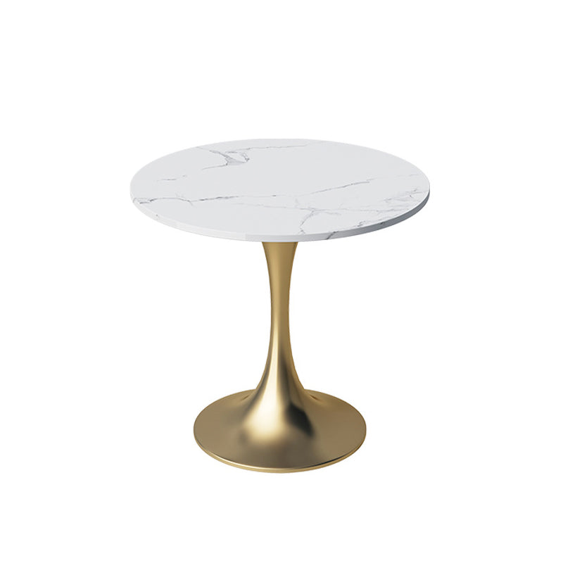 Glam Sintered Stone Dining Table Set Round 1/2/3/5 Pieces Dining Set