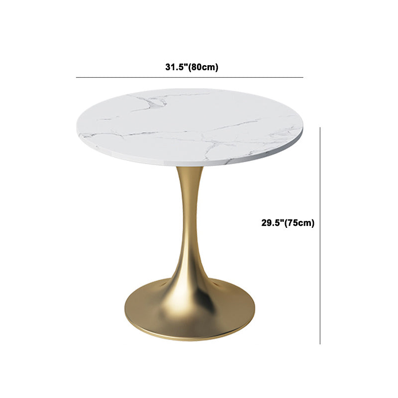 Glam Sintered Stone Dining Table Set Round 1/2/3/5 Pieces Dining Set
