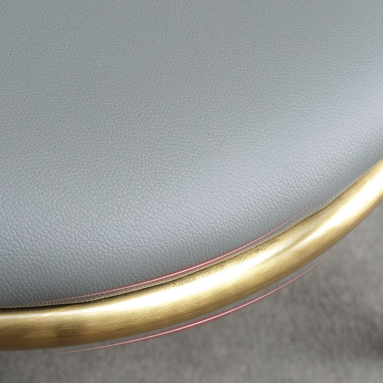 Modern Style Dining Chairs Armless Chair with Metal Legs for Kitchen