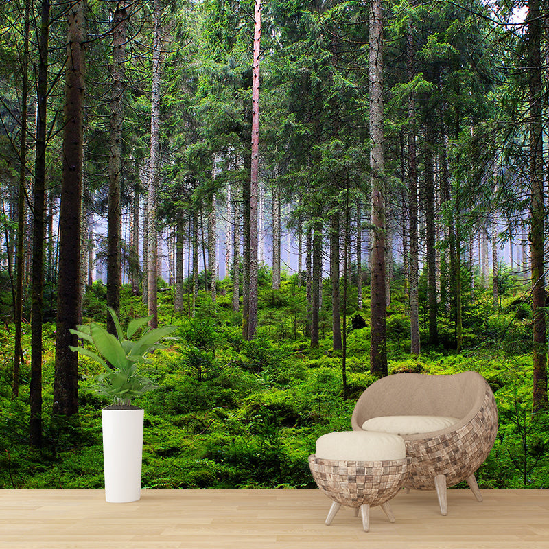 Photography Forest Mural Home Decorative Photography Resistant Wall Mural