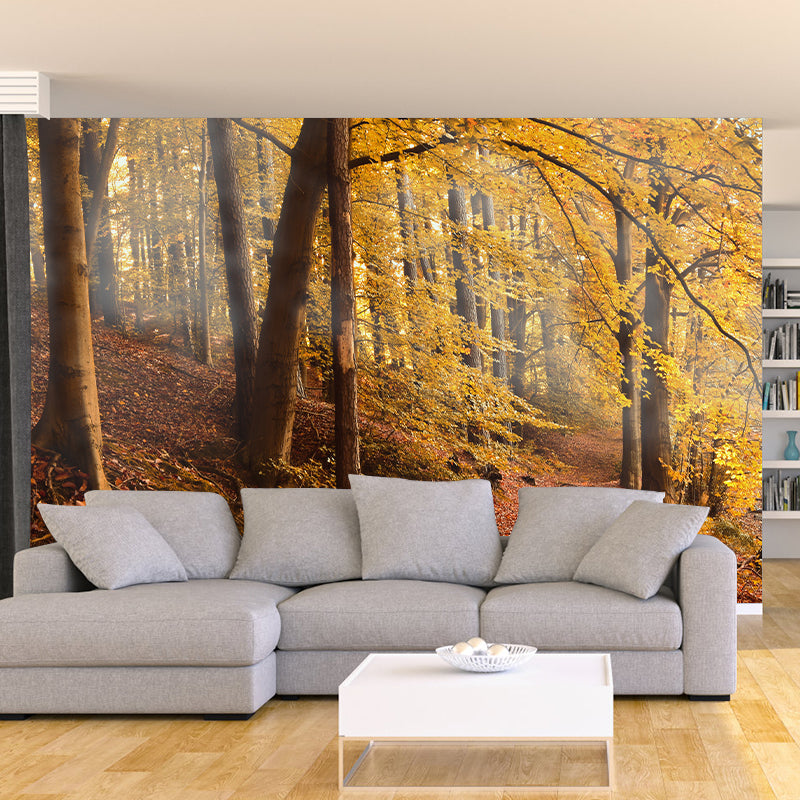 Environmental Photography Wallpaper Moisture Resistant Forest Wall Mural