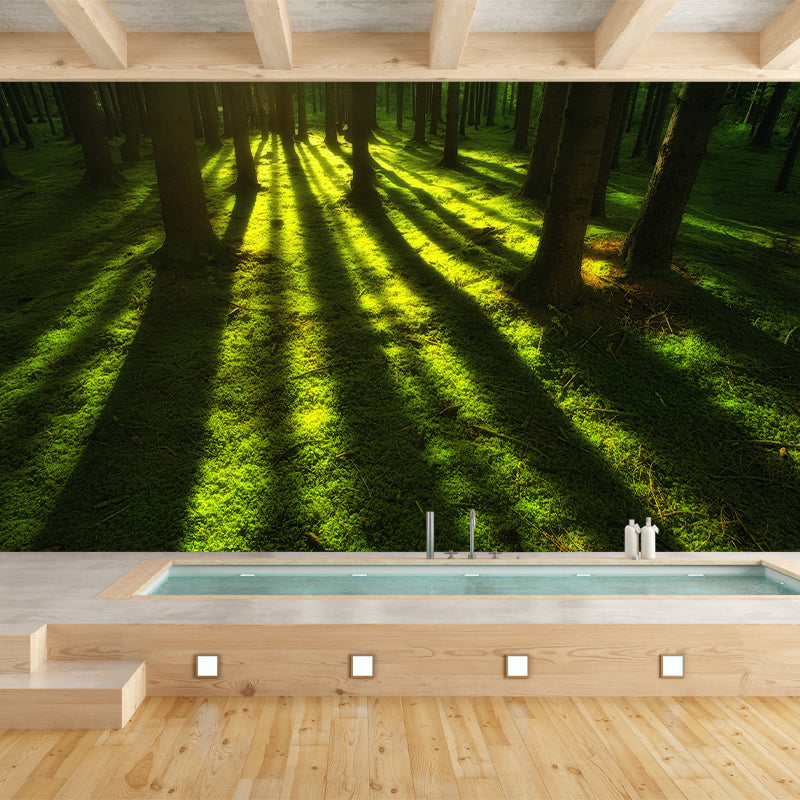 Photography Plants Wall Mural Modern Stain Resistant Forest Living Room Mural