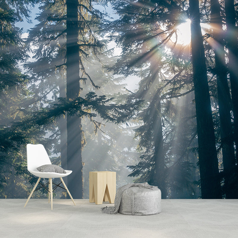 Forest Wall Mural Stain Resistant Environmental Photography Plants Wall Mural