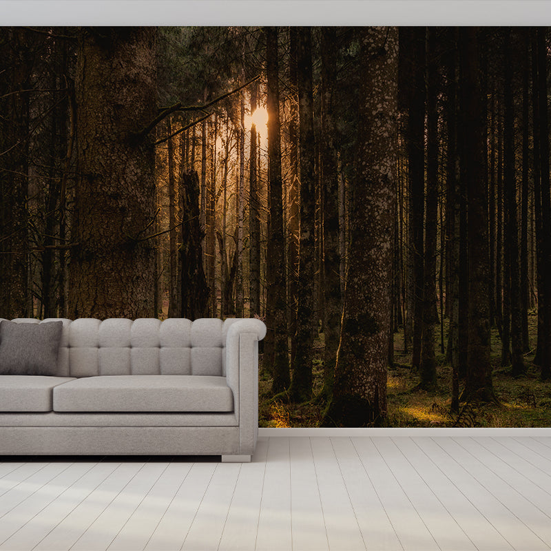 Forest Wall Mural Stain Resistant Environmental Photography Plants Wall Mural