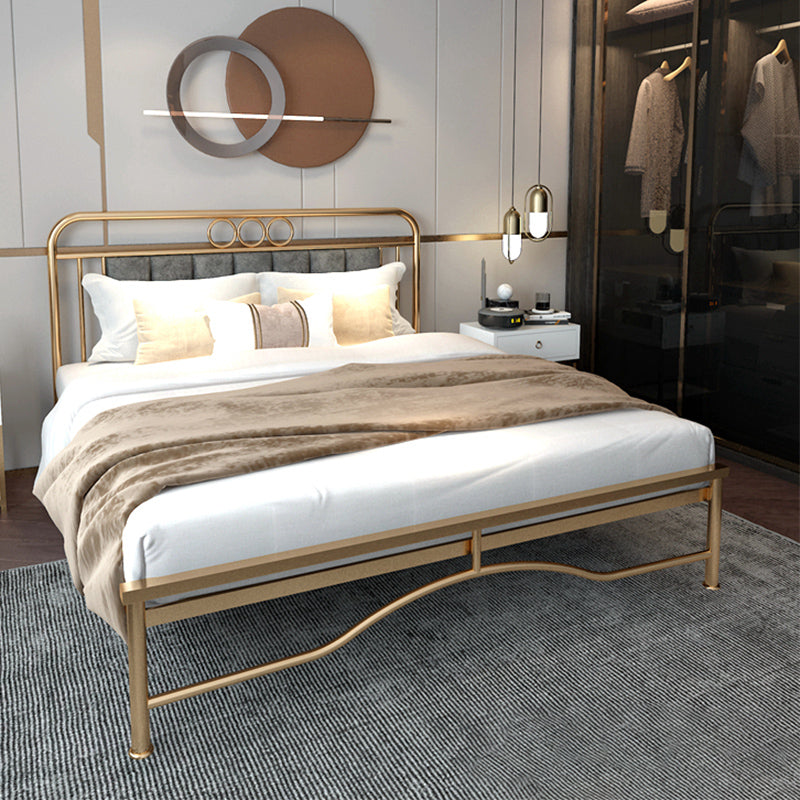 Upholstered Metal Bed in Gold Finish Low Profile Bed with Headboard