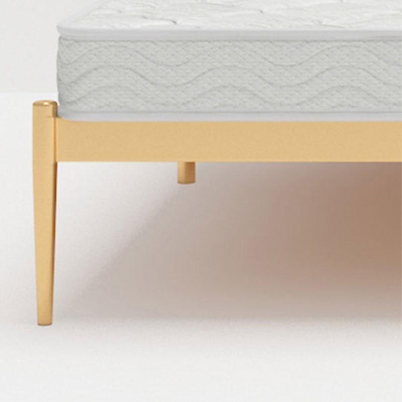 Metal Glam Bed Frame Rectangular Open-Frame Headboard Standard Bed