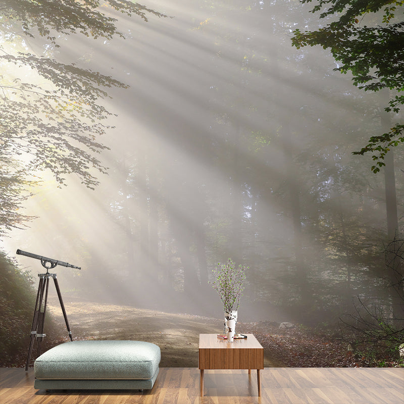 Modern Photography Wall Mural Forest Stain Resistant for Ceiling Wall Mural