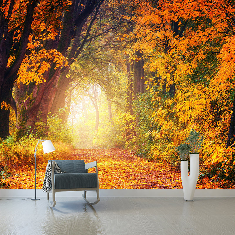 Modern Photography Wall Mural Forest Stain Resistant for Ceiling Wall Mural