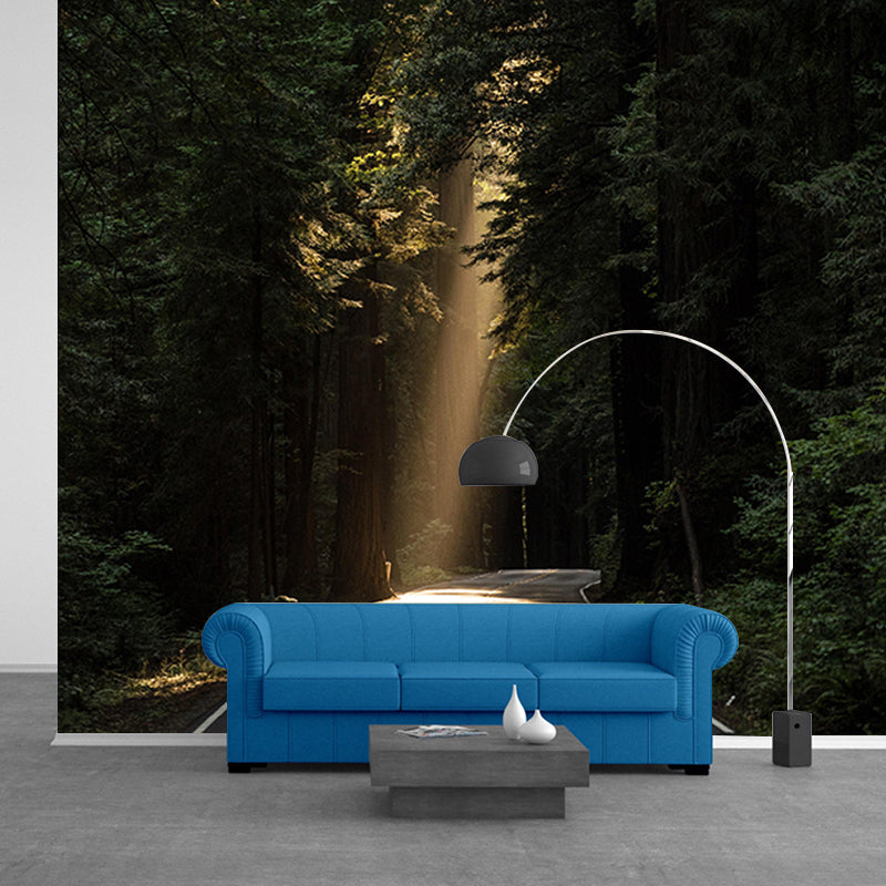 Landscapes Wallpaper Photography Decorative Mildew Resistant Living Room Wall Mural