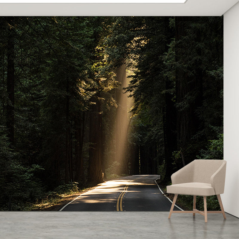 Landscapes Wallpaper Photography Decorative Mildew Resistant Living Room Wall Mural