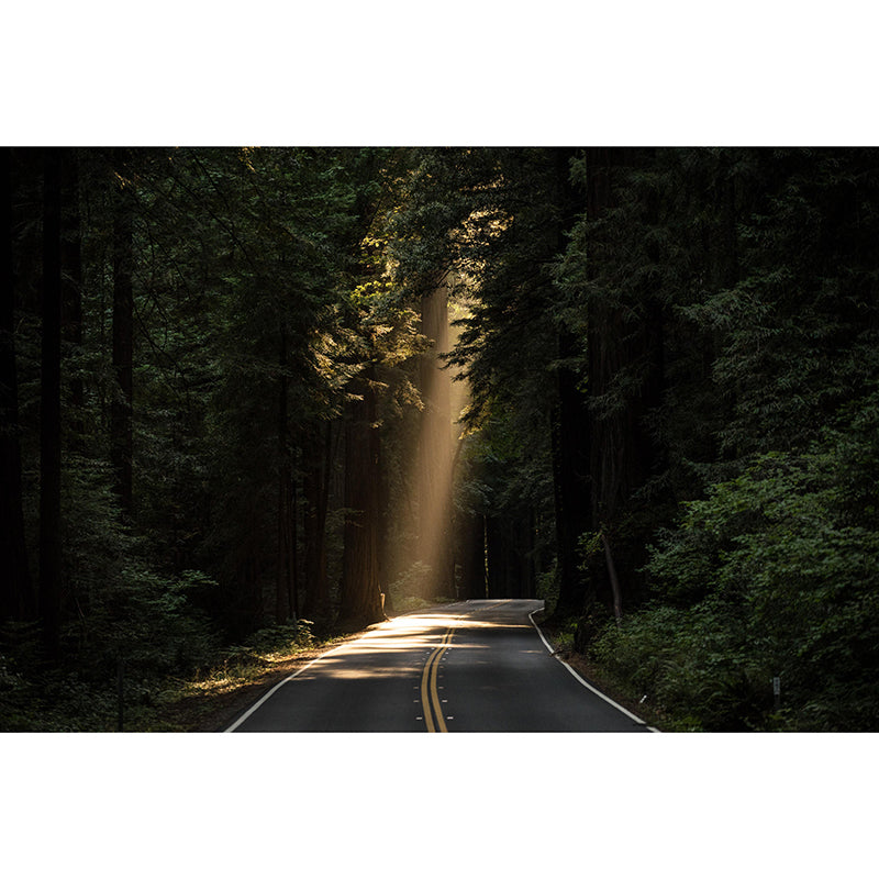 Landscapes Wallpaper Photography Decorative Mildew Resistant Living Room Wall Mural