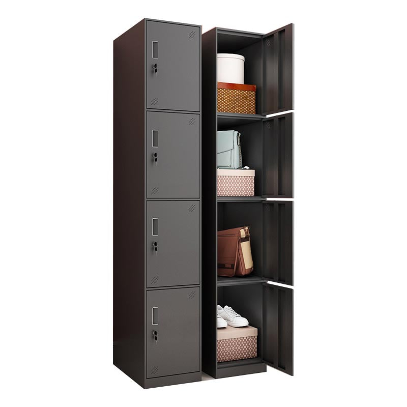 Steel Black Storage Cabinet with Hinged Door Contemporary Indoor Cabinet