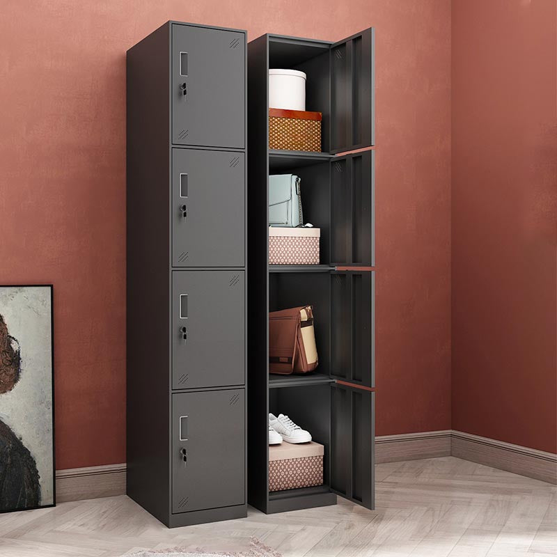 Steel Black Storage Cabinet with Hinged Door Contemporary Indoor Cabinet