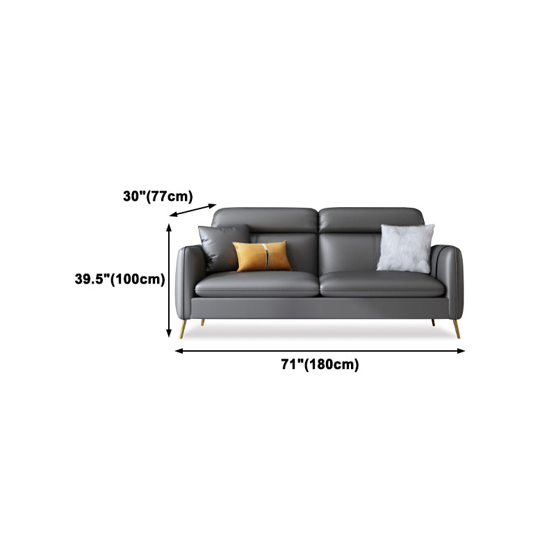 Glam Gray Standard Square Arm Living Room Leather Stain Resistant Sofa