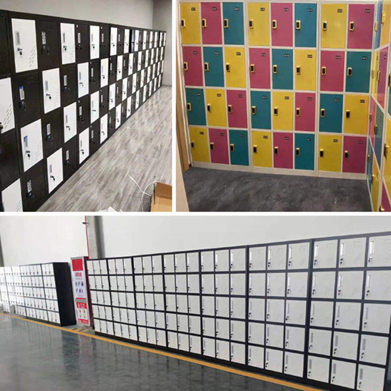 Metal Contemporary Cabinet for Home Matte Finish Storage Cabinet