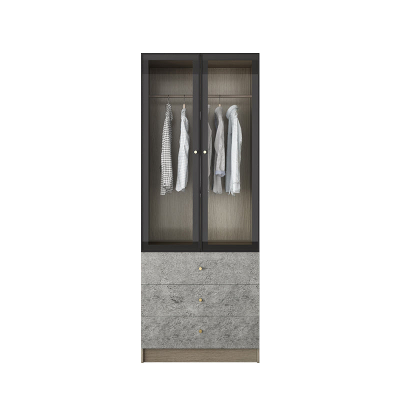 Contemporary Style Wardrobe Gray Colour Glass Wardrobe Closet