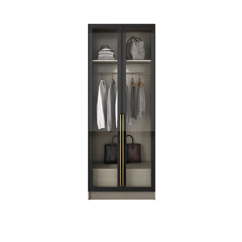 Contemporary Style Wardrobe Gray Colour Glass Wardrobe Closet
