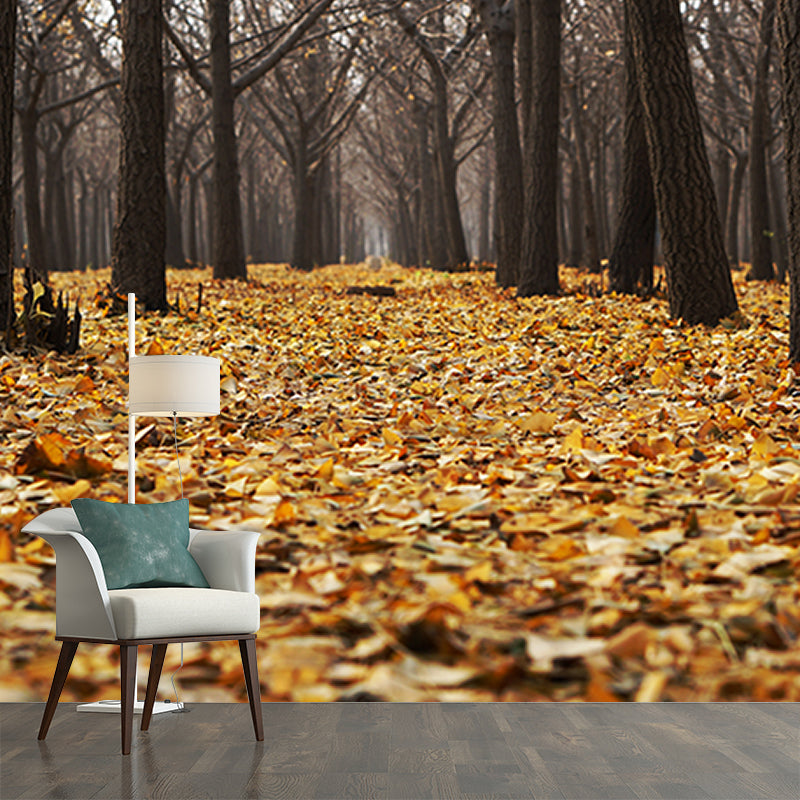 Photography Environmental Wall Mural Forest Stain Resistant Home Wall Mural