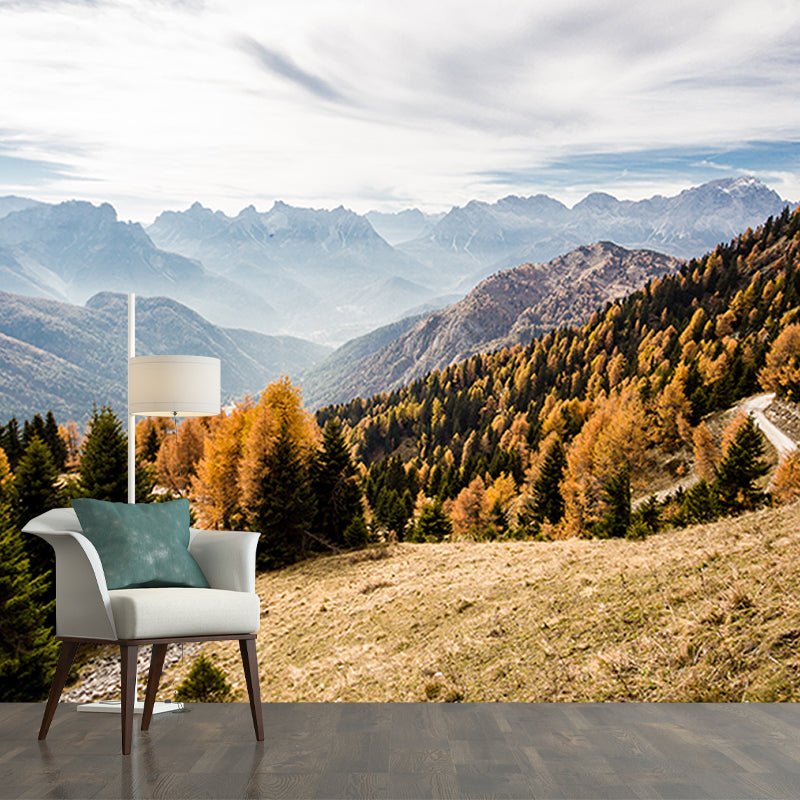 Photography Environmental Wall Mural Forest Stain Resistant Home Wall Mural