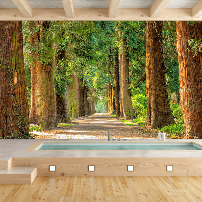Photography Environmental Wall Mural Forest Stain Resistant Home Wall Mural