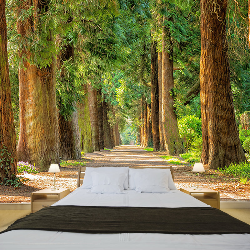 Photography Environmental Wall Mural Forest Stain Resistant Home Wall Mural