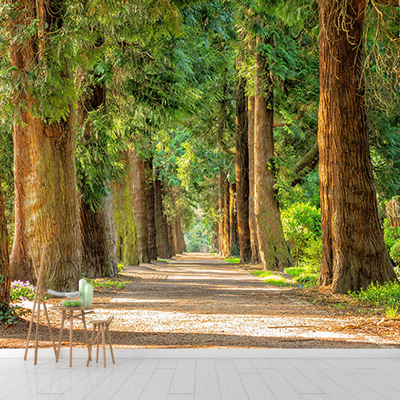 Photography Environmental Wall Mural Forest Stain Resistant Home Wall Mural